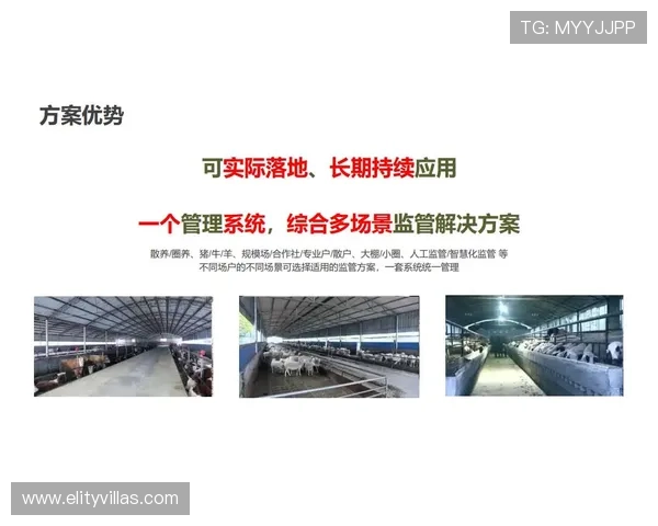 欧博开户平台怎么样：技术支持与系统稳定性评估