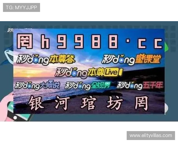 在365真人游戏网注册即可享受丰富的新人福利和专属优惠提升您的游戏体验与获胜几率